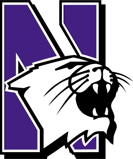 Northwestern Wildcats logos iron-ons